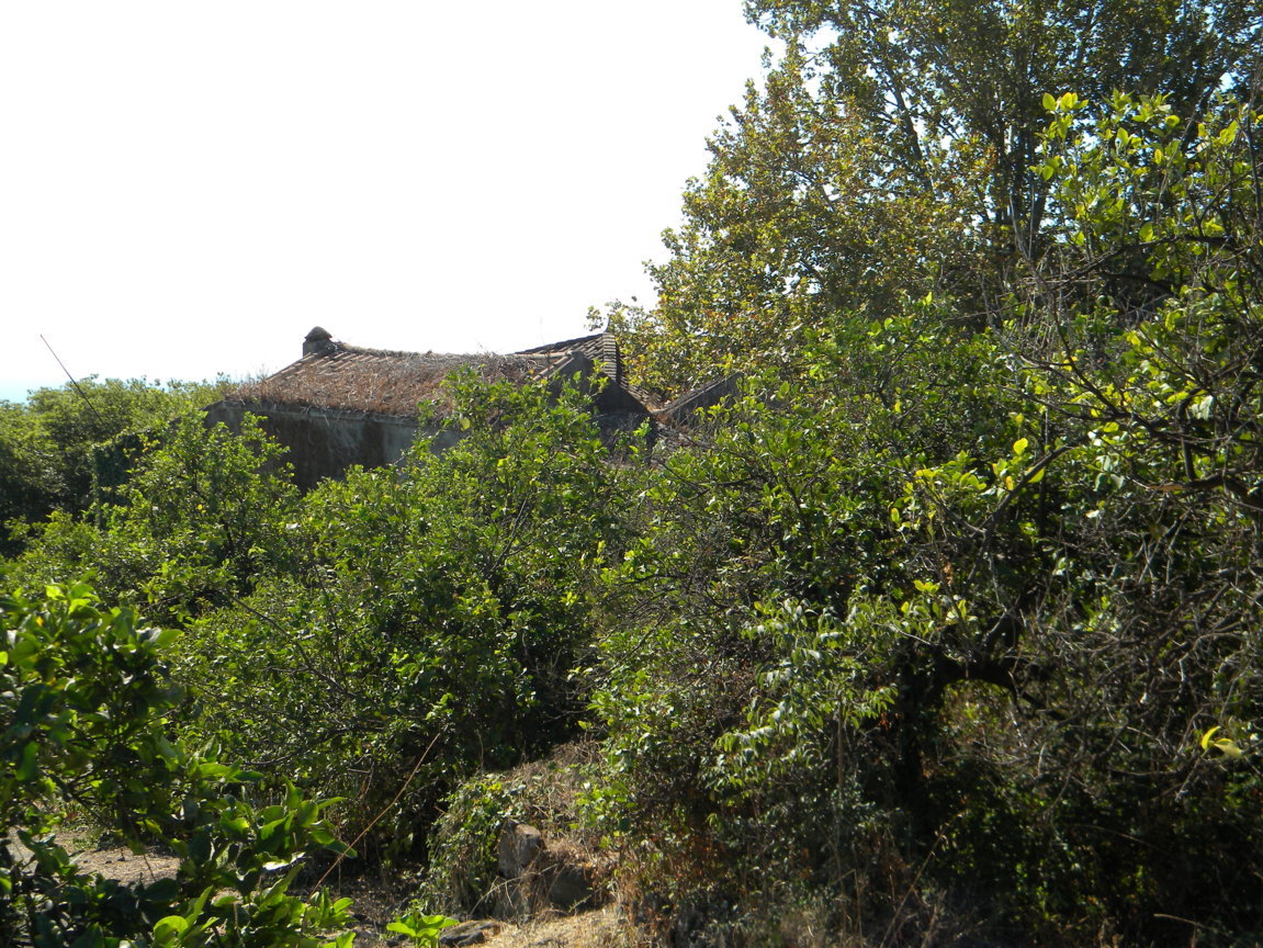 DSCN8207 .JPG